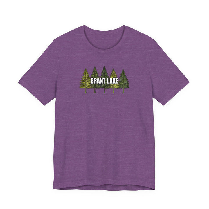 Brant Lake Pine Tree Tee
