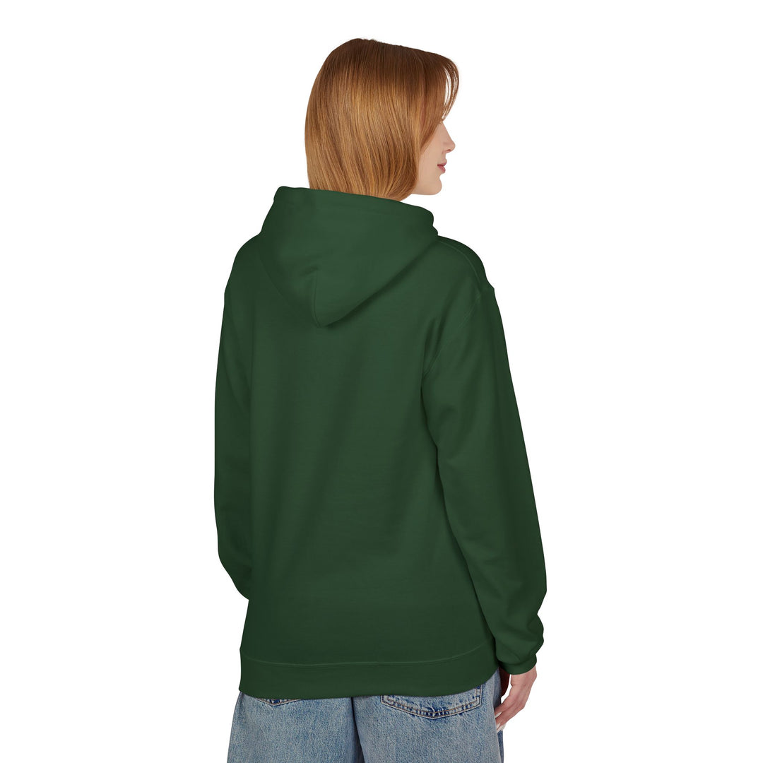 Long Lake Adirondacks Hoodie