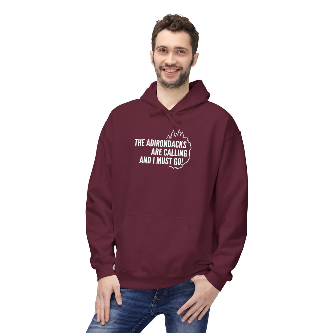 The Adirondacks are Calling Hoodie