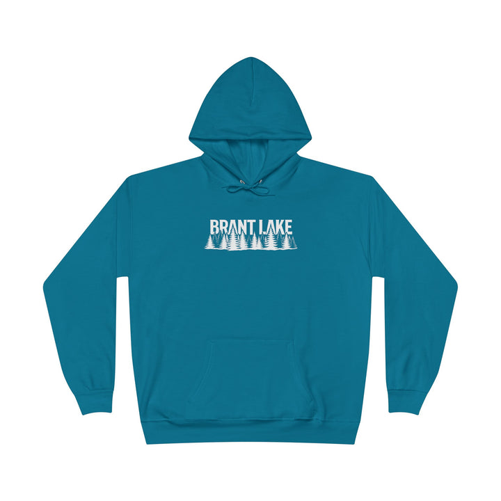 Brant Lake Hanes Hoodie - Trees