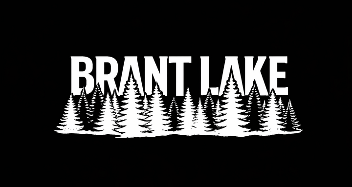 Brant Lake Trees Unisex V-Neck Tee