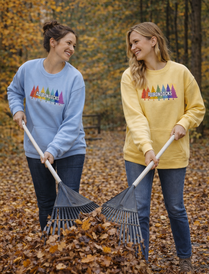 Adirondack Rainbow Trees Sweatshirt